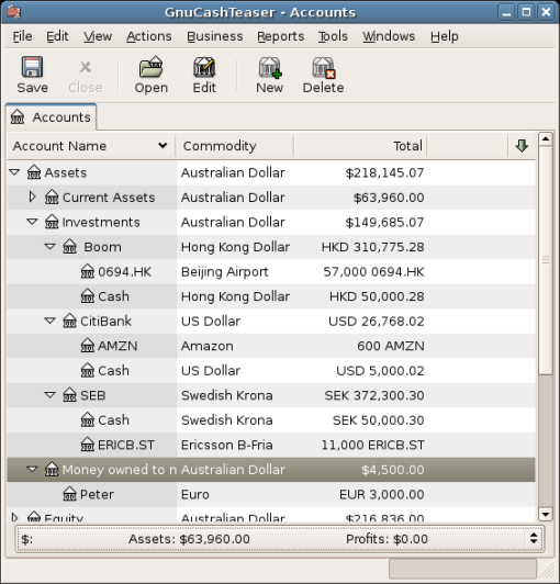 A Chart Of Accounts With Multiple Currencies And Investments